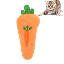 Load image into Gallery viewer, Pet Soft Plush Creative 3D Carp Fish Shape Cat Toy Gifts Catnip Fish Stuffed Pillow Doll Simulation Fish Playing Toy For Pet

