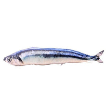 Load image into Gallery viewer, Pet Soft Plush Creative 3D Carp Fish Shape Cat Toy Gifts Catnip Fish Stuffed Pillow Doll Simulation Fish Playing Toy For Pet
