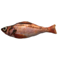 Load image into Gallery viewer, Pet Soft Plush Creative 3D Carp Fish Shape Cat Toy Gifts Catnip Fish Stuffed Pillow Doll Simulation Fish Playing Toy For Pet

